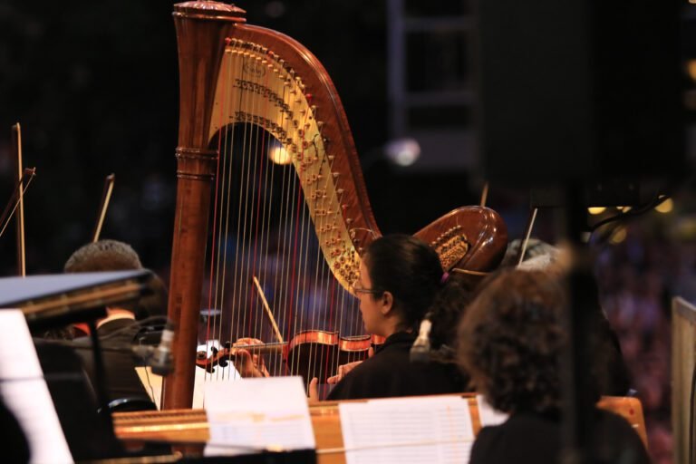 Iate in Concert 3ª edição- 2017