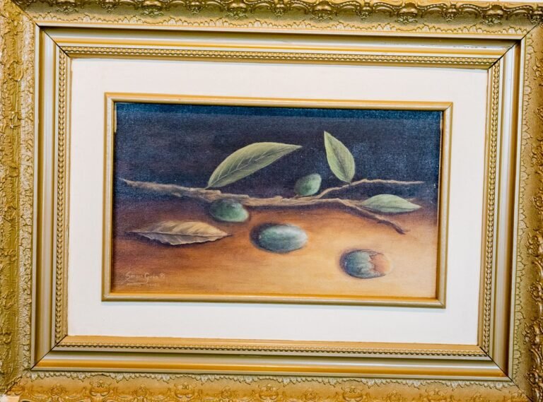 AMAZONA BRASIL-SERGIO GIRÃO