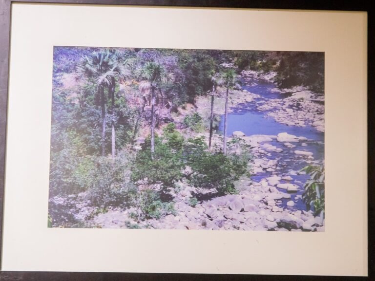 VISTA DO CERRADO-MARIA DE FÁTIMA