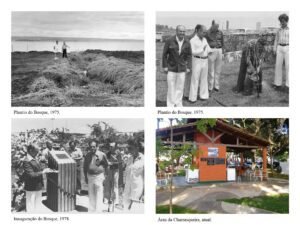 Criação do bosque - Histórico