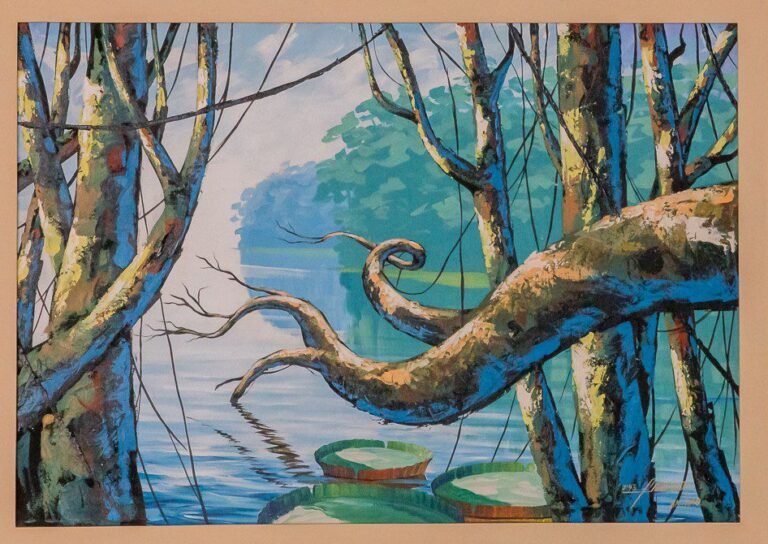 AMAZONA-FRANCIMAR A. M.