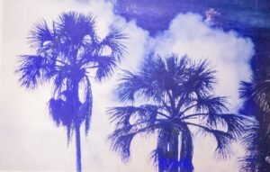 FOGO-MARIA DE FÁTIMA