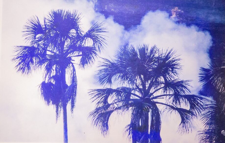 FOGO-MARIA DE FÁTIMA