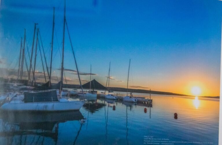 O LAGO-RICARDO CAMARGO