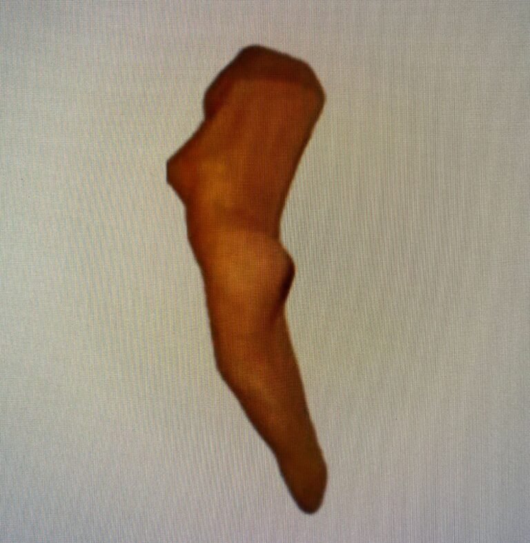 WhatsApp Image 2026-02-09 at 11.58.33 (1)