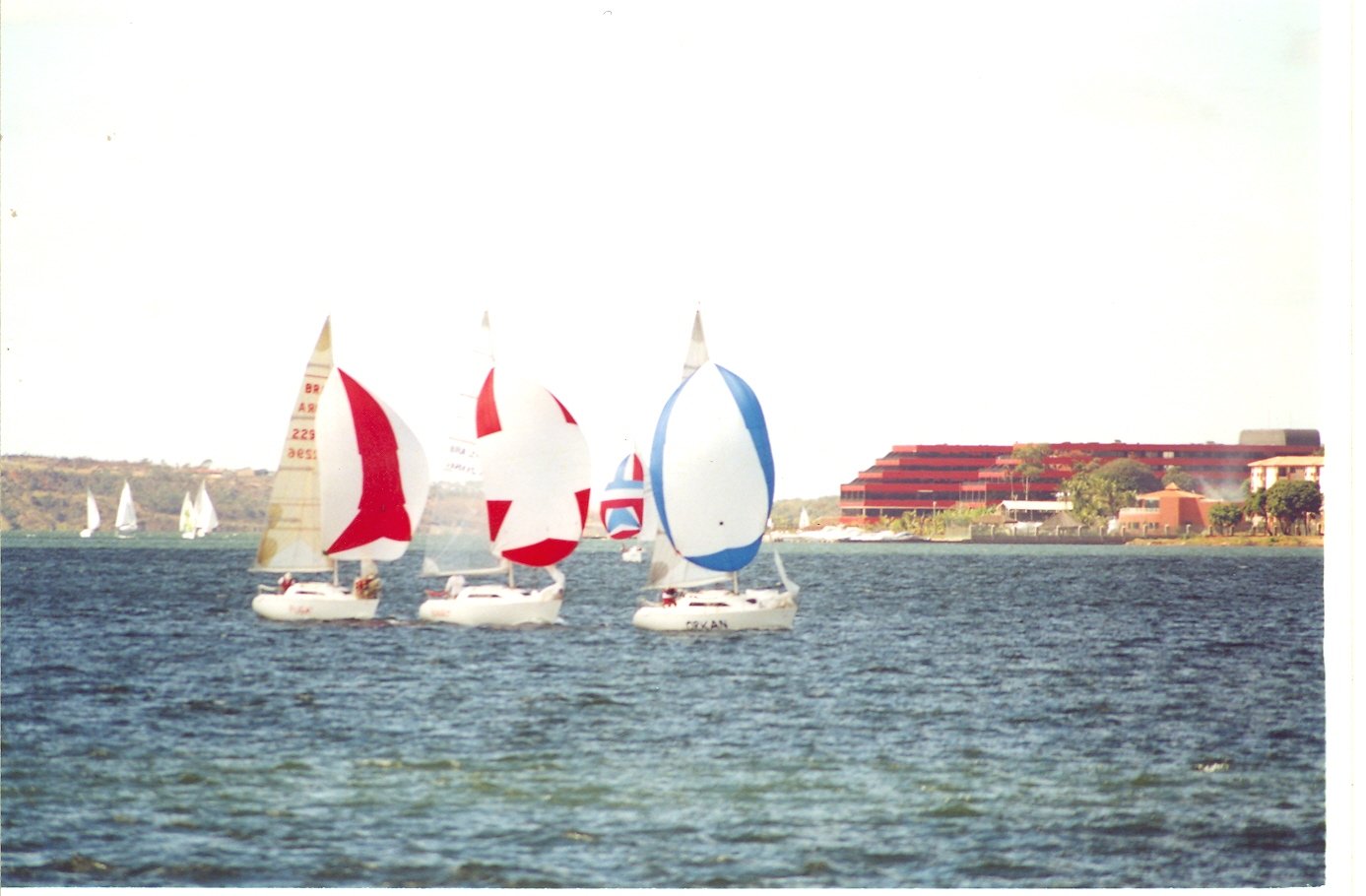 Regata Solitaria